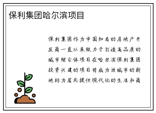 保利集团哈尔滨项目