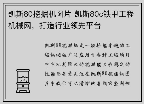 凯斯80挖掘机图片 凯斯80c铁甲工程机械网,打造行业领先平台
